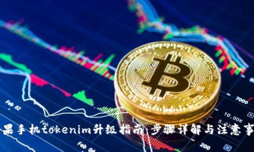 苹果手机tokenim升级指南：步骤详解与注意事项